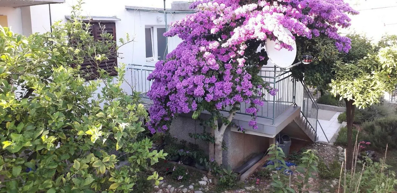 Arancia Apartment Mali Losinj 0*,  Croatia