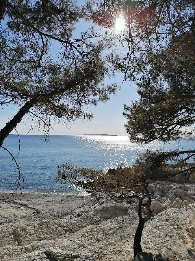 Arancia Apartment Mali Losinj